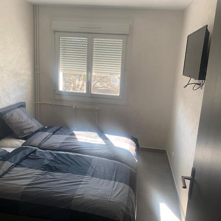 F3 Appartement 2 Chambre Un Salon Avec Wifi Saint-Jean-de-la-Ruelle Esterno foto